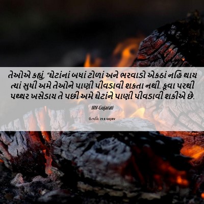 Picture 06 - ઉત્પત્તિ 29:8 GUJIRV - તેઓએ કહ્યું, - Bible Verse Picture