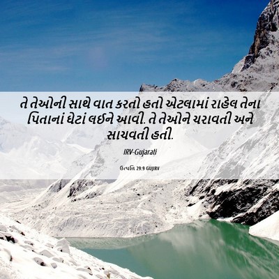 Picture 06 - ઉત્પત્તિ 29:9 GUJIRV - તે તેઓની સાથે વાત - Bible Verse Picture