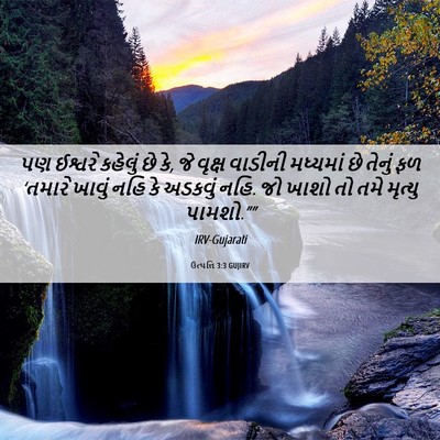 Picture 06 - ઉત્પત્તિ 3:3 GUJIRV - પણ ઈશ્વરે કહેલું - Bible Verse Picture