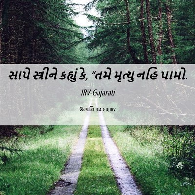Picture 06 - ઉત્પત્તિ 3:4 GUJIRV - સાપે સ્ત્રીને - Bible Verse Picture