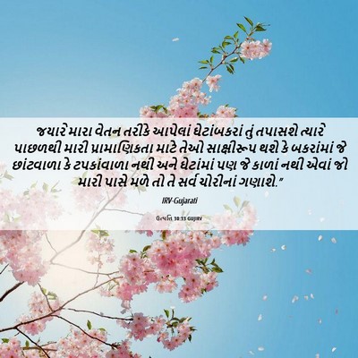Picture 06 - ઉત્પત્તિ 30:33 GUJIRV - જયારે મારા વેતન - Bible Verse Picture