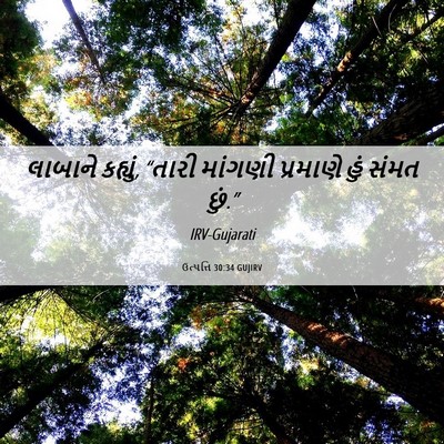 Picture 06 - ઉત્પત્તિ 30:34 GUJIRV - લાબાને કહ્યું, - Bible Verse Picture
