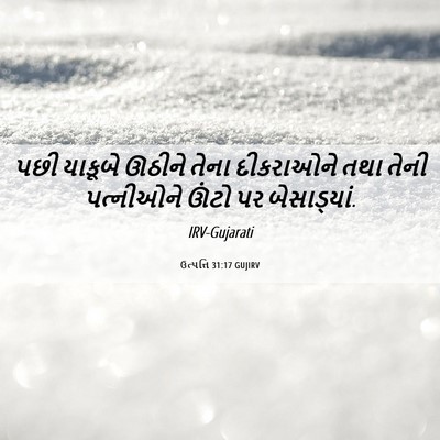 Picture 06 - ઉત્પત્તિ 31:17 GUJIRV - પછી યાકૂબે ઊઠીને - Bible Verse Picture