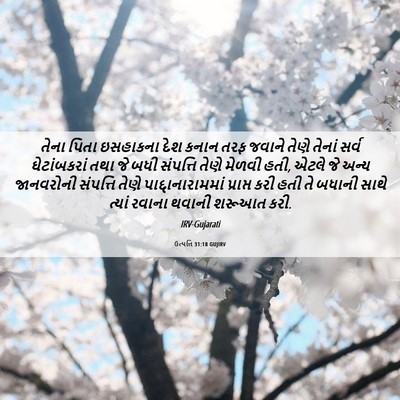 Picture 06 - ઉત્પત્તિ 31:18 GUJIRV - તેના પિતા ઇસહાકના - Bible Verse Picture