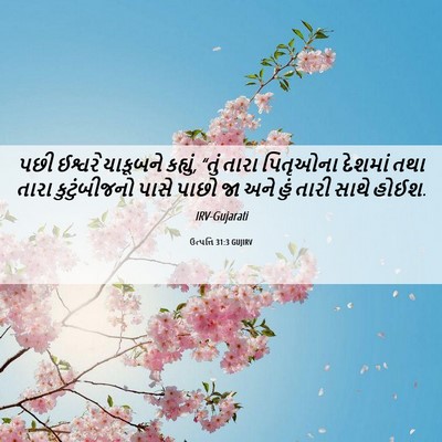 Picture 06 - ઉત્પત્તિ 31:3 GUJIRV - પછી ઈશ્વરે - Bible Verse Picture