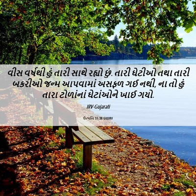 Picture 06 - ઉત્પત્તિ 31:38 GUJIRV - વીસ વર્ષથી હું - Bible Verse Picture