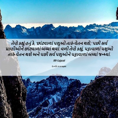 Picture 06 - ઉત્પત્તિ 31:8 GUJIRV - તેણે કહ્યું હતું - Bible Verse Picture