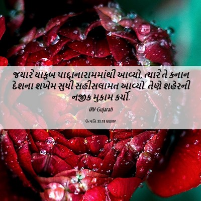 Picture 06 - ઉત્પત્તિ 33:18 GUJIRV - જયારે યાકૂબ - Bible Verse Picture