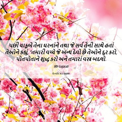 Picture 06 - ઉત્પત્તિ 35:2 GUJIRV - પછી યાકૂબે તેના - Bible Verse Picture
