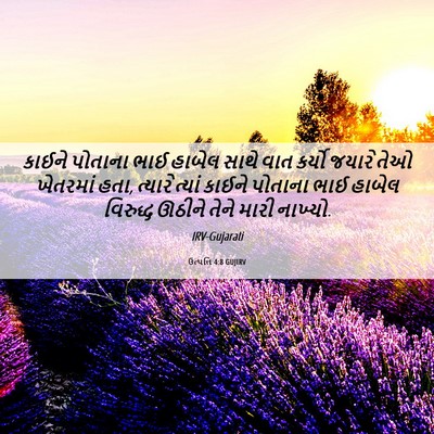 Picture 06 - ઉત્પત્તિ 4:8 GUJIRV - કાઈને પોતાના ભાઈ - Bible Verse Picture