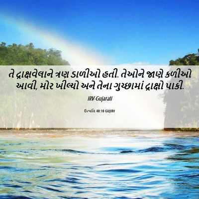 Picture 06 - ઉત્પત્તિ 40:10 GUJIRV - તે દ્રાક્ષવેલાને - Bible Verse Picture