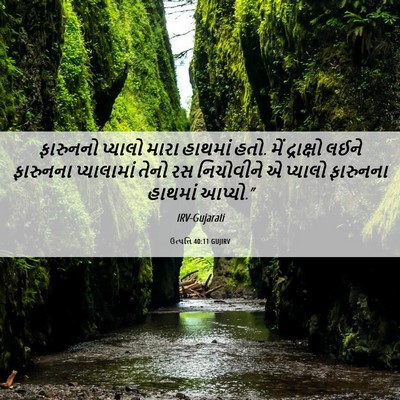 Picture 06 - ઉત્પત્તિ 40:11 GUJIRV - ફારુનનો પ્યાલો - Bible Verse Picture