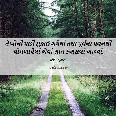 Picture 06 - ઉત્પત્તિ 41:6 GUJIRV - તેઓની પછી સુકાઈ - Bible Verse Picture
