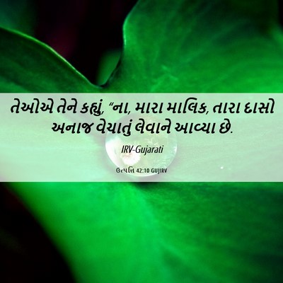 Picture 06 - ઉત્પત્તિ 42:10 GUJIRV - તેઓએ તેને કહ્યું, - Bible Verse Picture
