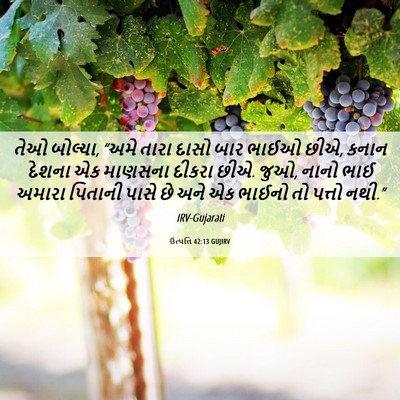 Picture 06 - ઉત્પત્તિ 42:13 GUJIRV - તેઓ બોલ્યા, “અમે - Bible Verse Picture