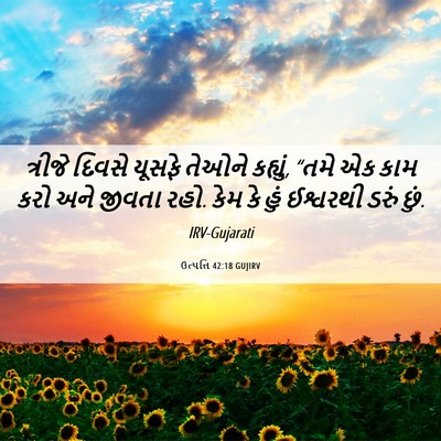 Picture 06 - ઉત્પત્તિ 42:18 GUJIRV - ત્રીજે દિવસે - Bible Verse Picture