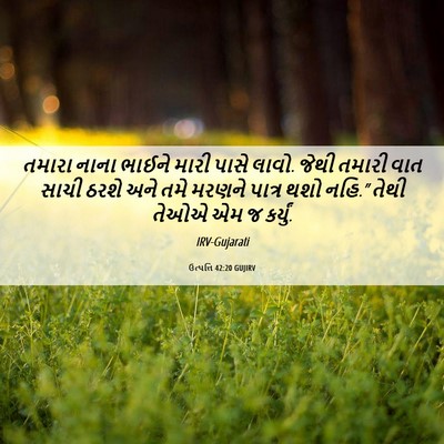 Picture 06 - ઉત્પત્તિ 42:20 GUJIRV - તમારા નાના ભાઈને - Bible Verse Picture
