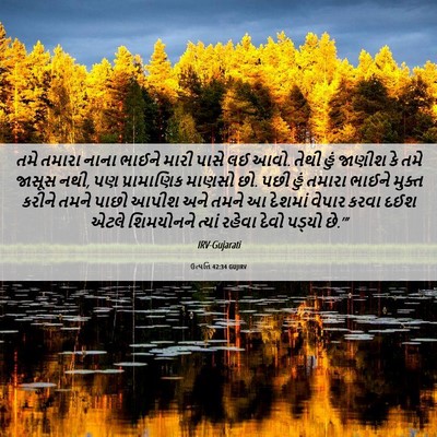 Picture 06 - ઉત્પત્તિ 42:34 GUJIRV - તમે તમારા નાના - Bible Verse Picture