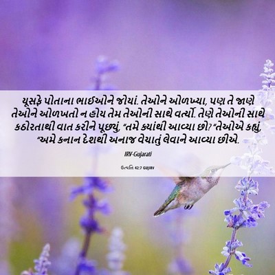 Picture 06 - ઉત્પત્તિ 42:7 GUJIRV - યૂસફે પોતાના - Bible Verse Picture