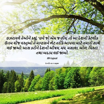 Picture 06 - ઉત્પત્તિ 43:11 GUJIRV - ઇઝરાયલે તેઓને - Bible Verse Picture