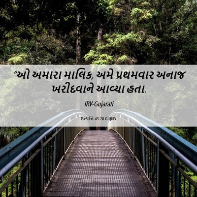 Picture 06 - ઉત્પત્તિ 43:20 GUJIRV - “ઓ અમારા માલિક, અમે - Bible Verse Picture