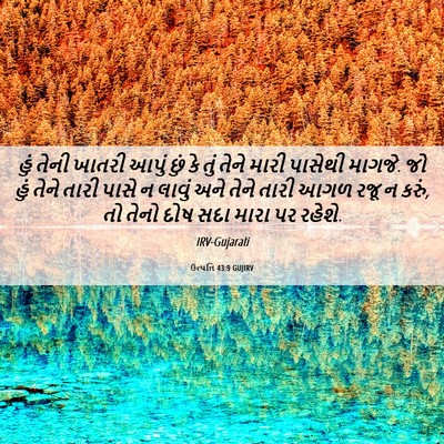 Picture 06 - ઉત્પત્તિ 43:9 GUJIRV - હું તેની ખાતરી - Bible Verse Picture
