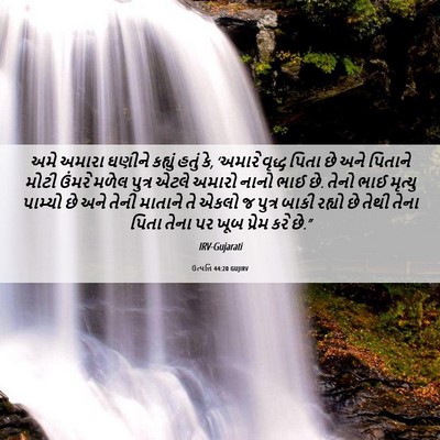 Picture 06 - ઉત્પત્તિ 44:20 GUJIRV - અમે અમારા ઘણીને - Bible Verse Picture