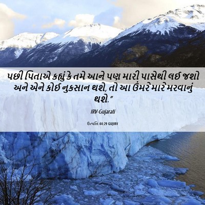 Picture 06 - ઉત્પત્તિ 44:29 GUJIRV - પછી પિતાએ કહ્યું - Bible Verse Picture