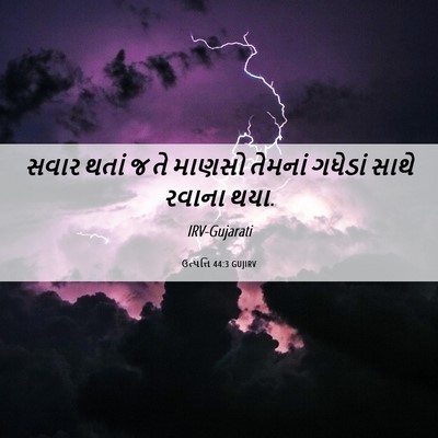 Picture 06 - ઉત્પત્તિ 44:3 GUJIRV - સવાર થતાં જ તે - Bible Verse Picture