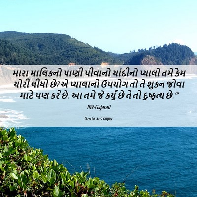 Picture 06 - ઉત્પત્તિ 44:5 GUJIRV - મારા માલિકનો પાણી - Bible Verse Picture