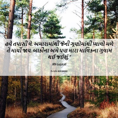 Picture 06 - ઉત્પત્તિ 44:9 GUJIRV - હવે તપાસી લે. - Bible Verse Picture