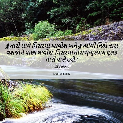 Picture 06 - ઉત્પત્તિ 46:4 GUJIRV - હું તારી સાથે - Bible Verse Picture