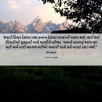 Picture 06 - ઉત્પત્તિ 47:15 GUJIRV - જયારે મિસર દેશમાં - Bible Verse Picture