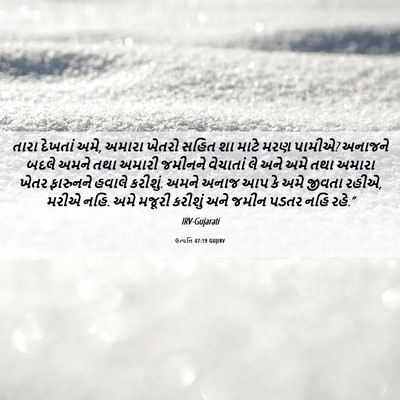 Picture 06 - ઉત્પત્તિ 47:19 GUJIRV - તારા દેખતાં અમે, - Bible Verse Picture