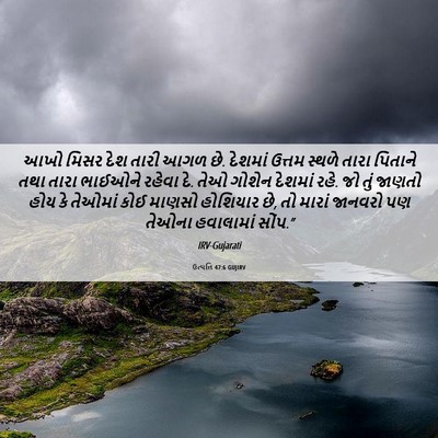 Picture 06 - ઉત્પત્તિ 47:6 GUJIRV - આખો મિસર દેશ તારી - Bible Verse Picture