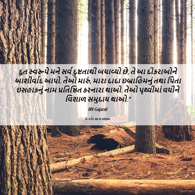 Picture 06 - ઉત્પત્તિ 48:16 GUJIRV - દૂત સ્વરૂપે મને - Bible Verse Picture