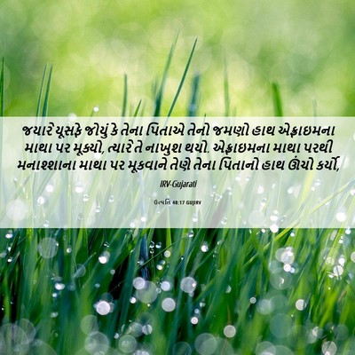 Picture 06 - ઉત્પત્તિ 48:17 GUJIRV - જયારે યૂસફે જોયું - Bible Verse Picture