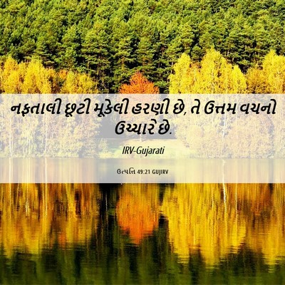 Picture 06 - ઉત્પત્તિ 49:21 GUJIRV - નફતાલી છૂટી - Bible Verse Picture
