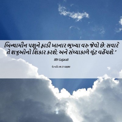 Picture 06 - ઉત્પત્તિ 49:27 GUJIRV - બિન્યામીન પશુને - Bible Verse Picture