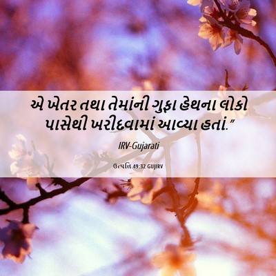 Picture 06 - ઉત્પત્તિ 49:32 GUJIRV - એ ખેતર તથા તેમાંની - Bible Verse Picture