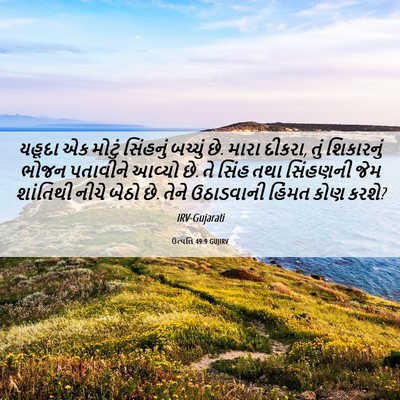 Picture 06 - ઉત્પત્તિ 49:9 GUJIRV - યહૂદા એક મોટું - Bible Verse Picture