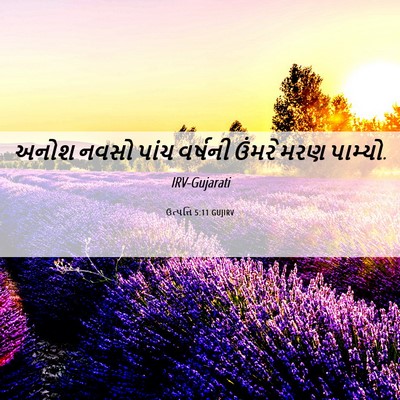 Picture 06 - ઉત્પત્તિ 5:11 GUJIRV - અનોશ નવસો પાંચ - Bible Verse Picture