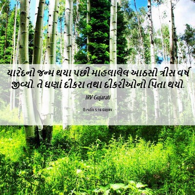 Picture 06 - ઉત્પત્તિ 5:16 GUJIRV - યારેદનો જન્મ થયા - Bible Verse Picture