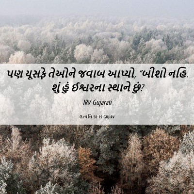 Picture 06 - ઉત્પત્તિ 50:19 GUJIRV - પણ યૂસફે તેઓને - Bible Verse Picture