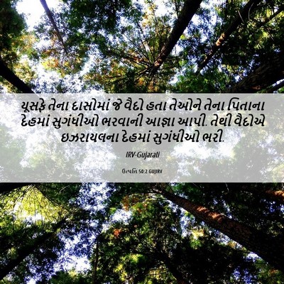 Picture 06 - ઉત્પત્તિ 50:2 GUJIRV - યૂસફે તેના - Bible Verse Picture
