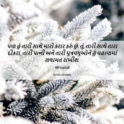 Picture 06 - ઉત્પત્તિ 6:18 GUJIRV - પણ હું તારી સાથે - Bible Verse Picture