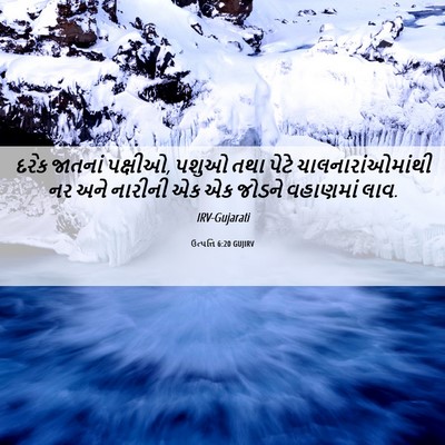 Picture 06 - ઉત્પત્તિ 6:20 GUJIRV - દરેક જાતનાં - Bible Verse Picture