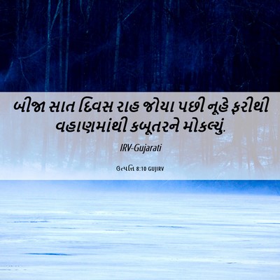 Picture 06 - ઉત્પત્તિ 8:10 GUJIRV - બીજા સાત દિવસ રાહ - Bible Verse Picture