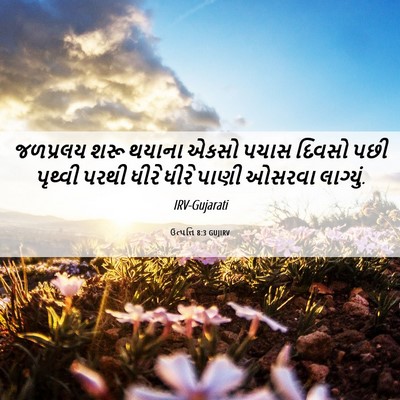 Picture 06 - ઉત્પત્તિ 8:3 GUJIRV - જળપ્રલય શરૂ થયાના - Bible Verse Picture