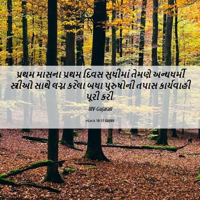 Picture 06 - એઝરા 10:17 GUJIRV - પ્રથમ માસના પ્રથમ - Bible Verse Picture